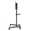 Stand TV NEOMOUNTS 37–70, 70 kg, 4 image