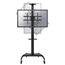 Stand TV NEOMOUNTS 37–70, 50 kg