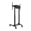 Suport TV NEOMOUNTS, de podea, 55–100”, 110 kg, 2 image