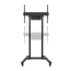 Suport TV NEOMOUNTS, de podea, 55–100”, 110 kg, 3 image