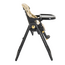Scaun de masă pentru copii MONI Tiramisu Gold Limited Edition, 2 în 1, auriu, 7 image