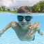 Ochelari de inot Bestway, 7+, 6 image