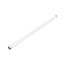 Лампа  LED GAUSS ELEMENTARY T8 Glass 600mm Цоколь G13  10 Вт  холодный свет
