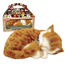 Jucarie interactiva PERFECT PETZZZ, "Pisicuta tabby portocalie", 4 image