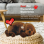 Jucarie interactiva PERFECT PETZZZ, "Labrador Ciocolatiu", 5 image