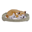 Jucarie interactiva PERFECT PETZZZ, "Shiba-Inu", 3 image