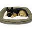 Jucarie interactiva PERFECT PETZZZ, "Caine ciobanesc german", 2 image