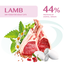 Hrana uscata OPTIMEAL Super Premium pentru pisici adulte cu digestie sensibila, miel, 200g, 2 image