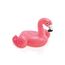 Jucarie gonflabila INTEX, pentru piscina sau cada, 2+, 4 modele, 2 image