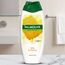 Gel de dus PALMOLIVE Honey, 500 ml