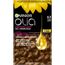 Vopsea par GARNIER OLIA Full Kit 6.3 Blond Inchis Auriu, 2 image