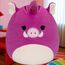 Мягкая игрушка Squishmallow - Кабанчик Дженна, 19см
