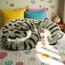 Интерактивная игрушка PERFECT PETZZZ, "Серый табби-котенок"