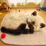 Jucarie interactiva PERFECT PETZZZ, "Pisicuta siameza"