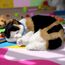 Интерактивная игрушка PERFECT PETZZZ, "Калико-котенок"