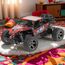Masina Radio-Control ESSA CHEETAH KING MUSCLE 1:18